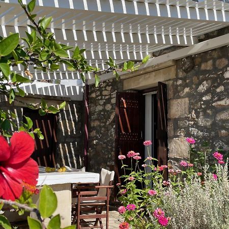 Villa La Familia Maison Traditionnelle プラキアス エクステリア 写真