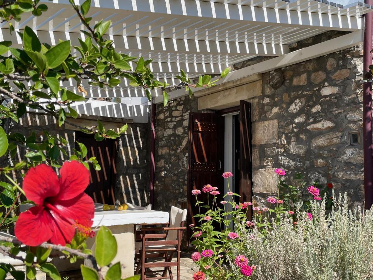Villa La Familia Maison Traditionnelle プラキアス エクステリア 写真